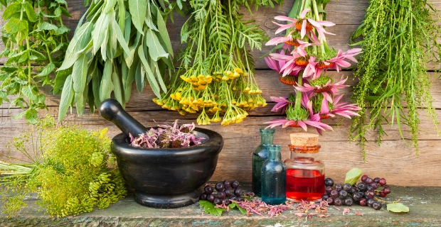 Dr. Mücahit Kıvrak ile Söyleşimiz Kadim Bilgiler